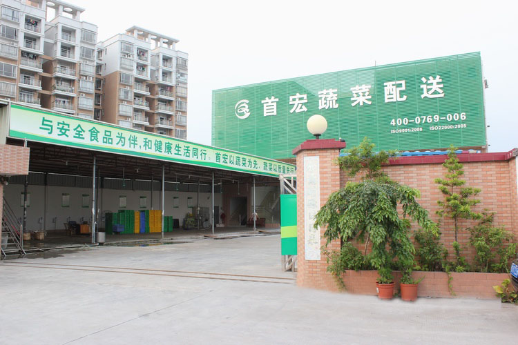 河源蔬菜配送
